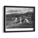 Foxhounds - John Scott | Cuadro decorativo de Canvas Lab