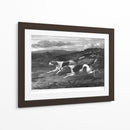 Foxhounds - John Scott | Cuadro decorativo de Canvas Lab