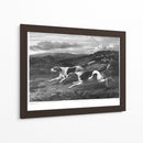 Foxhounds - John Scott | Cuadro decorativo de Canvas Lab