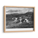 Foxhounds - John Scott | Cuadro decorativo de Canvas Lab