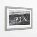 Foxhounds - John Scott | Cuadro decorativo de Canvas Lab