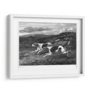 Foxhounds - John Scott | Cuadro decorativo de Canvas Lab