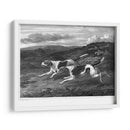 Foxhounds - John Scott | Cuadro decorativo de Canvas Lab