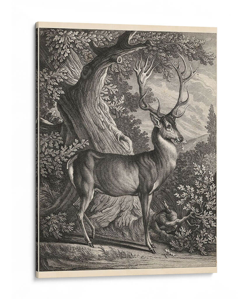 Ciervos Woodland I - Ridinger | Cuadro decorativo de Canvas Lab