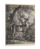 Ciervos Woodland I - Ridinger | Cuadro decorativo de Canvas Lab