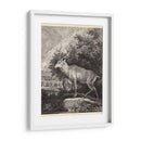 Woodland Deer Ii - Ridinger | Cuadro decorativo de Canvas Lab