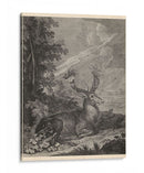 Woodland Deer Iii - Ridinger | Cuadro decorativo de Canvas Lab