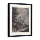 Woodland Deer Iii - Ridinger | Cuadro decorativo de Canvas Lab