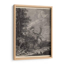 Woodland Deer Iii - Ridinger | Cuadro decorativo de Canvas Lab