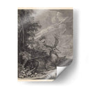 Woodland Deer Iii - Ridinger | Cuadro decorativo de Canvas Lab