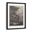 Woodland Ciervo Iv - Ridinger | Cuadro decorativo de Canvas Lab