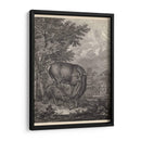 Woodland Ciervo Iv - Ridinger | Cuadro decorativo de Canvas Lab