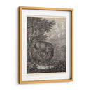 Woodland Ciervo Iv - Ridinger | Cuadro decorativo de Canvas Lab