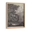Woodland Ciervo Iv - Ridinger | Cuadro decorativo de Canvas Lab