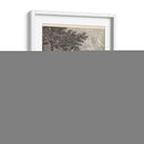 Woodland Ciervo Iv - Ridinger | Cuadro decorativo de Canvas Lab