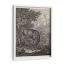 Woodland Ciervo Iv - Ridinger | Cuadro decorativo de Canvas Lab