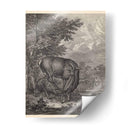 Woodland Ciervo Iv - Ridinger | Cuadro decorativo de Canvas Lab