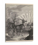 Soodland Ciervo V - Ridinger | Cuadro decorativo de Canvas Lab