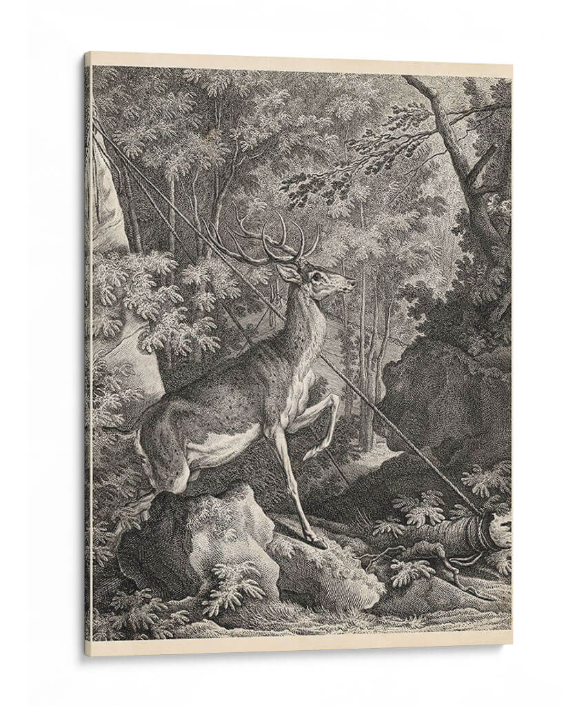 Woodland Ciervo Vii - Ridinger | Cuadro decorativo de Canvas Lab