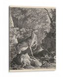 Woodland Ciervo Vii - Ridinger | Cuadro decorativo de Canvas Lab