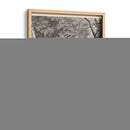 Woodland Ciervo Vii - Ridinger | Cuadro decorativo de Canvas Lab