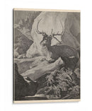 Woodland Deer Viii - Ridinger | Cuadro decorativo de Canvas Lab