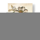 Peonías De Marfil I - Basilius Besler | Cuadro decorativo de Canvas Lab