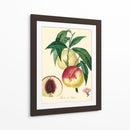 Bessa Melocotones - Bessa | Cuadro decorativo de Canvas Lab