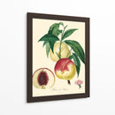 Bessa Melocotones - Bessa | Cuadro decorativo de Canvas Lab