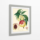 Bessa Melocotones - Bessa | Cuadro decorativo de Canvas Lab