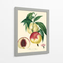 Bessa Melocotones - Bessa | Cuadro decorativo de Canvas Lab