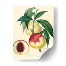 Bessa Melocotones - Bessa | Cuadro decorativo de Canvas Lab