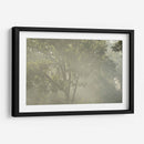 FoggyRiver - Ariadne Contreras | Cuadro decorativo de Canvas Lab