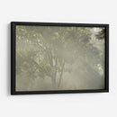 FoggyRiver - Ariadne Contreras | Cuadro decorativo de Canvas Lab