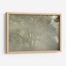 FoggyRiver - Ariadne Contreras | Cuadro decorativo de Canvas Lab