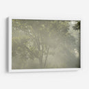 FoggyRiver - Ariadne Contreras | Cuadro decorativo de Canvas Lab