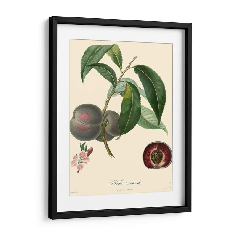 Bessa Plums - Bessa | Cuadro decorativo de Canvas Lab