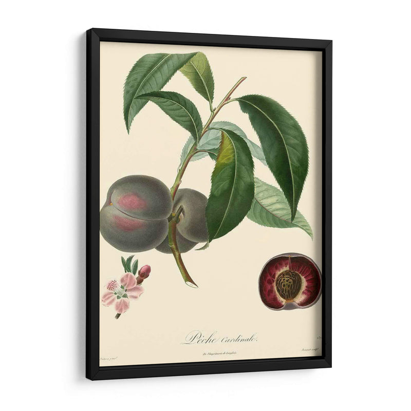 Bessa Plums - Bessa | Cuadro decorativo de Canvas Lab