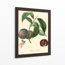 Bessa Plums - Bessa | Cuadro decorativo de Canvas Lab