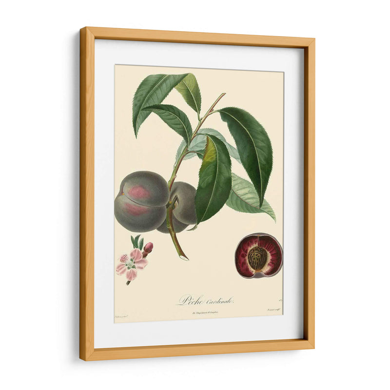 Bessa Plums - Bessa | Cuadro decorativo de Canvas Lab