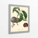 Bessa Plums - Bessa | Cuadro decorativo de Canvas Lab