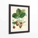 Fresas Bessa - Bessa | Cuadro decorativo de Canvas Lab
