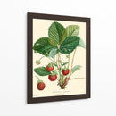 Fresas Bessa - Bessa | Cuadro decorativo de Canvas Lab