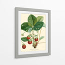 Fresas Bessa - Bessa | Cuadro decorativo de Canvas Lab