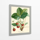 Fresas Bessa - Bessa | Cuadro decorativo de Canvas Lab