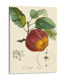 Bessa Manzanas - Bessa | Cuadro decorativo de Canvas Lab