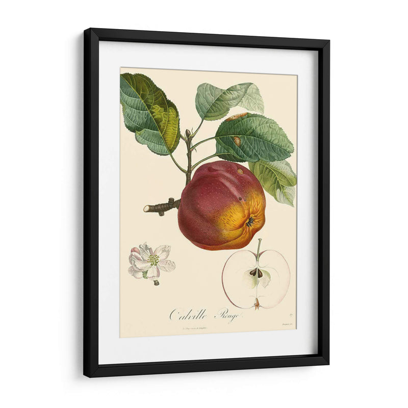 Bessa Manzanas - Bessa | Cuadro decorativo de Canvas Lab