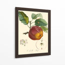 Bessa Manzanas - Bessa | Cuadro decorativo de Canvas Lab