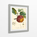 Bessa Manzanas - Bessa | Cuadro decorativo de Canvas Lab