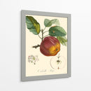 Bessa Manzanas - Bessa | Cuadro decorativo de Canvas Lab